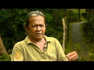 Tarsiers under existential threat in Philippines