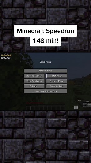 new world record #minecraft #speedrun #worldrecord #fyp