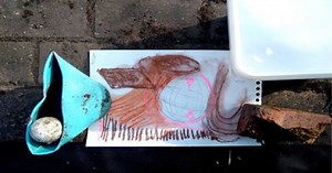 Eco-somatic Research: What if the Complexity of Nature can Teach me a Dance?