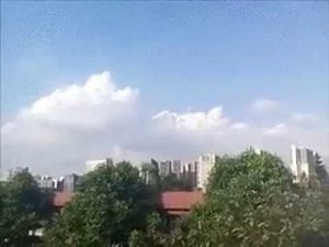 Top Viral Video 2016! Real Flying Dragon Caught on Camera Footage in Sabah, Malaysia