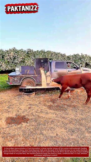 ​The ultimate farm hack: Custom dispenser truck makes feeding cows so easy! #farming #smart #tools