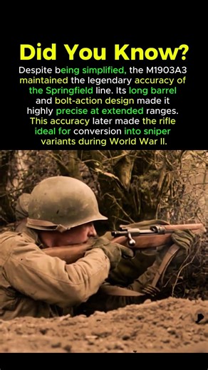 The Legendary Accuracy of the M1903A3 Rifle #M1903A3 #AccurateRifles #WW2Weapons #Springfield1903