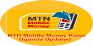 MTN Mobile Money Charges Uganda 2025 | Thekonsulthub.com