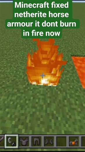 minecraft fixed the issue of netherite horse armour || #shorts