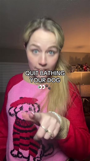 No Rinse Dog Shampoo: A Solution for Bath-Hating Pets