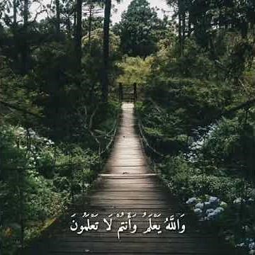 آيات قرآنية بصوت ماهر المعيقلي 🎧💙 أجمل حالات واتس اب دينية مقاطع دينية قصيرة مقاطع انستقرام دينية