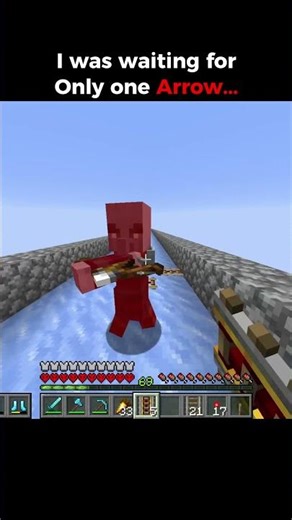 I was waiting for that one arrow to hit me...#minecraft #usa