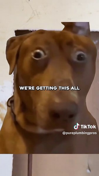 Essential Tips for DIY Gas Line Safety