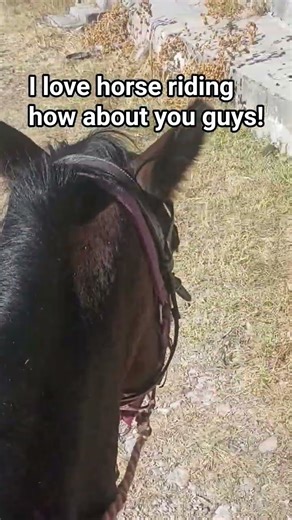 :D #horse #horseriding #mexico #ranch #relatable #cowboy