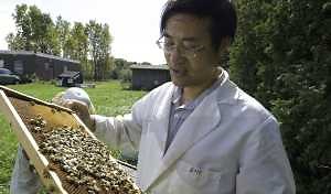 Zach Huang’s research gives new insight into the destructive Varroa mite