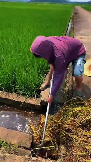 Satisfying Irrigation Ditch Clearing 🌾🌊 #FarmoraTV #ASMR #WaterwayClearing