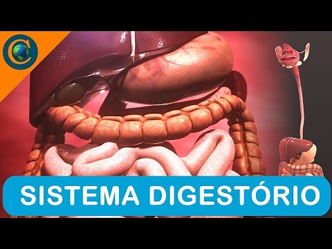 SISTEMA DIGESTÓRIO