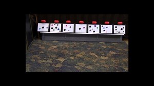 64 reactions · 15 shares | When we think of animal training, we don't...