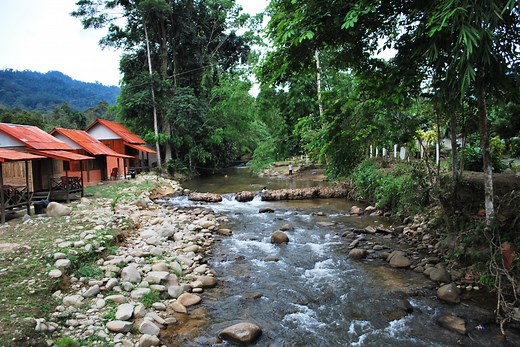 Exploring Janda Baik: Top Things to Do and Where to Eat