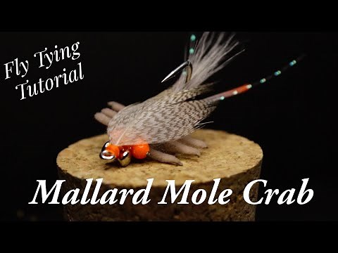Mallard Mole Crab: Surf Perch Saltwater Fly Tying Video