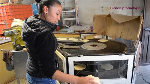 Los organismos genéticamente modificados (OGM) han sido promovidos como una solución para aumentar la producción agrícola y combatir el hambre. 🍽️✨ Pero, ¿realmente son la mejor alternativa? 🚨 En México, el debate sigue abierto: mientras algunos los ven como innovación, otros advierten sobre sus riesgos para la biodiversidad, la salud y la soberanía alimentaria. 🌽⚠️ 🔍 ¿Son una herramienta útil o una amenaza para el campo mexicano? Descúbrelo en esta cápsula. 📌 Proyecto: Monitoreo y seguimie