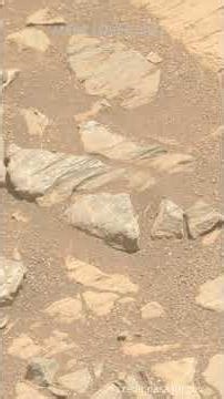 Perseverance Rover Clip 298 😀 😍 #mars #shortvideo #shorts #youtubeshorts #nasa credit nasa.jpl.gov