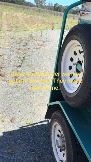 Unloading Horses: Tips and Tricks