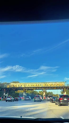 animal kingdom ✨🐅🦒 #disneyworld #disneyparks #animalkingdom #disney #disneyadult