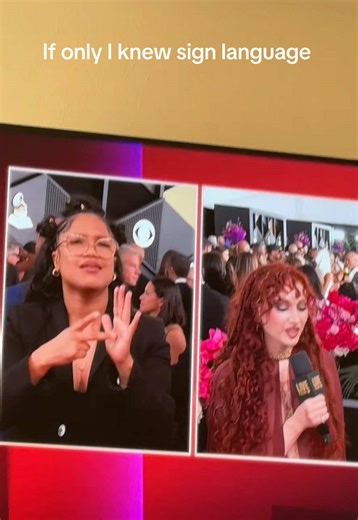 sydrol22 (@sydrol22)’s video of sign language