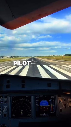 CN Aviation on Instagram: "Link in bio to get to it!🧠💪 #pilots #pilotlifestyle #pilot #pilotlife"