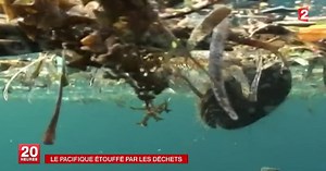 Déchets plastiques dans le Pacifique : un 7e continent ? | Lumni Enseignement