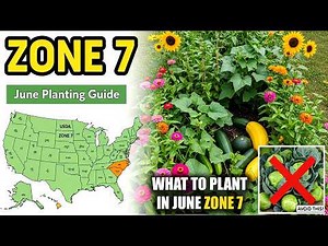 June Planting in Zone 7: 5 Best Vegetables & Flowers for Hot Weather Gardening!