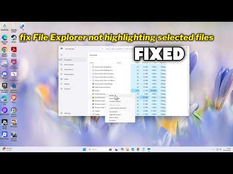 (FIXED) File Explorer not highlighting selected files in Windows