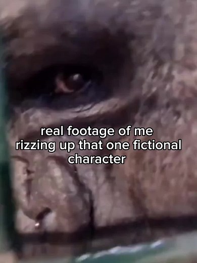 Funny Flying Gorilla Meme Compilation