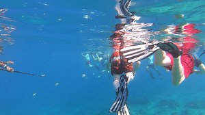Tourists enjoying snorkeling in deep blue ocean and filming with underwater cameras | tourists snorkeling on surface of water using snorkeling gears in blue ocean, enjoying tour and filming fishes | Premium Stock Video Footage