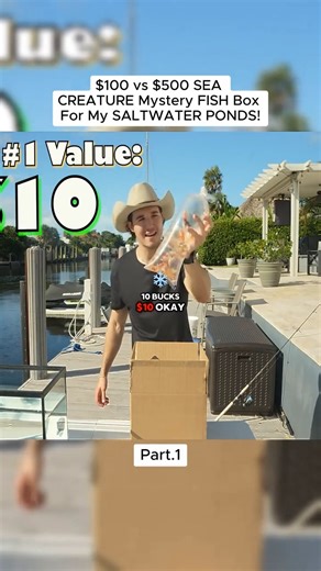 Mark Marshall on Reels