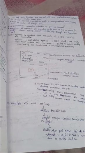 samapti mam biotechnology notes pw