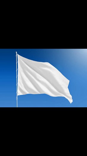 The History of the French Flag: From Purity to Surrender