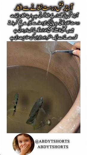 Archer Fish Knocks Down Its Enemy with Precision #shortsfeed