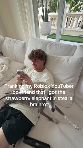 he needs to touch grass 😞😔 | strawberry elephant