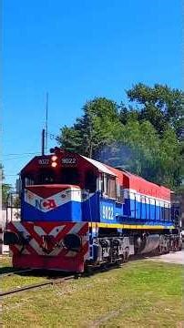 9022 #short #youtubeshorts #shortsfeed #shorts #ferrocarril #train #video4k #4k #hd #railway #reels