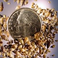 No fish leaving, being received by Bluewater Fish Hatchery after inspection finds invasive species