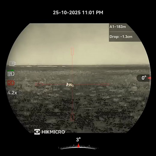 2.8K views · 25 reactions | This fox fell victim to the Swamphen Chick call. Sometimes when they realise something is afoot they just sit or lay down instead of legging it. Looks like this one tried sitting and was about to give laying down a crack. Ah well, it's laying down now. downunderpredatorcalls.com are 'made by hunters, for hunters'. Grab a Swamphen Chick call if you want a consistent performer. | Down Under Predator Calls | Facebook