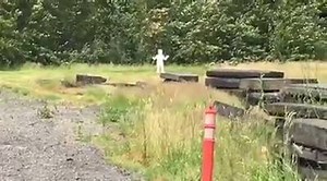 28K views · 69 reactions | What does it look like when a tennis ball...