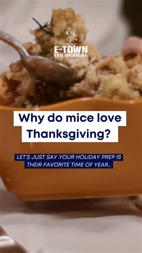 Your Thanksgiving dinner smells like a five-star buffet to mice. 🧀 🐭 Seal up entry points, store food properly, and keep your home pest-free before the big day! | E-Town Exterminating