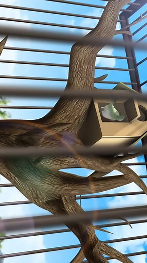 #kartun #kartunlucu #kartunindonesia #kartunanimasi #tiktokkids