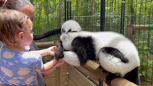 254 reactions · 35 shares | 拾 50% OFF KIDS ALL AUGUST LONG! Use promo...