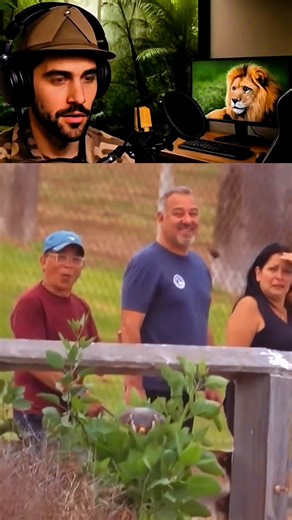 This bird looks like it came from another planet... and it really exists! | Strange Animal Planet