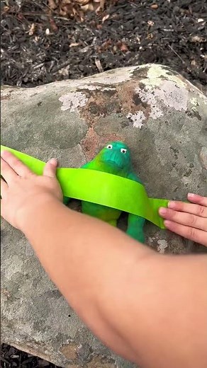 MONKEY DOESNT WEAR ANY PANTS #monkeyvideo #funny #funny #funny #meme