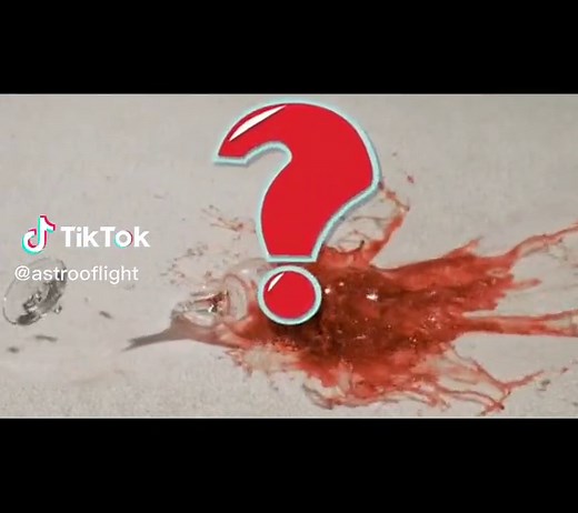 Understanding Earth's Gravity | Gravity Explained