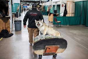 Here are 13 outdoor shows coming up in Pennsylvania