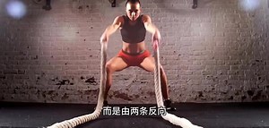 数字与生命：DNA双螺旋结构中的数学规律