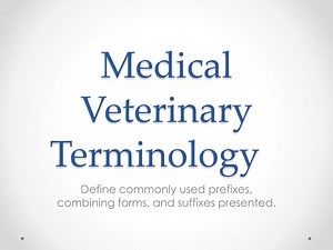 Medical Veterinary Terminology - SlideServe