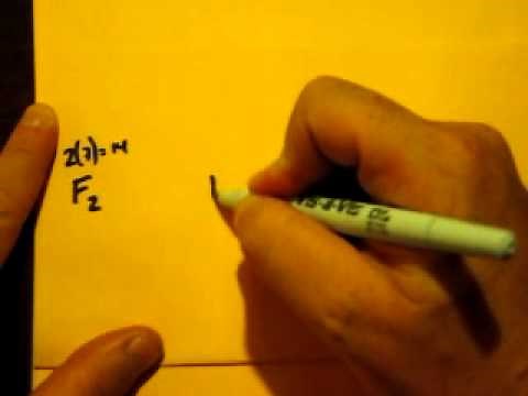 Lewis Dot Structure of F2 (DiFluorine)