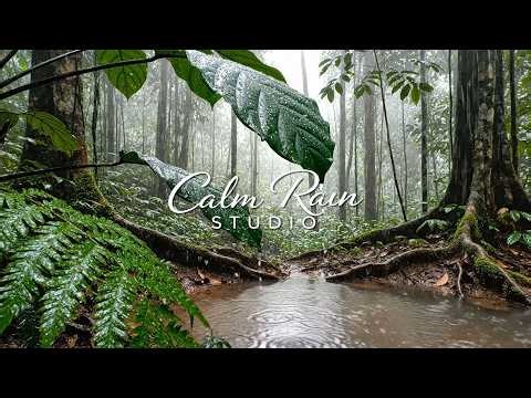 Rainforest Ambience – 2Hours of Tropical Rain & Jungle Sounds for Deep Sleep & Relaxation